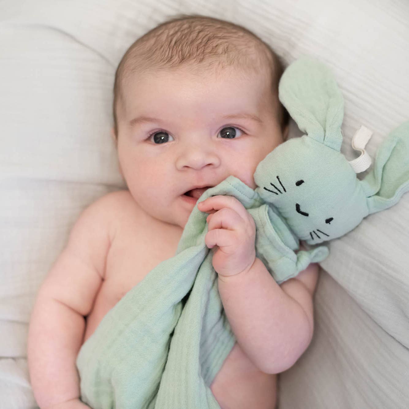 babyknuffel konijn in verschillende kleuren